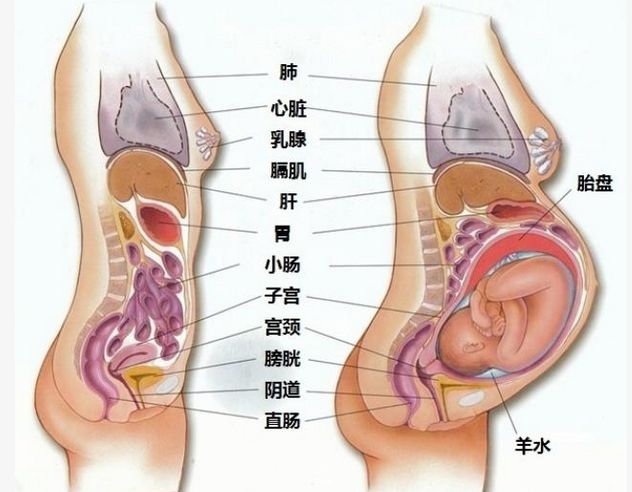 第503页