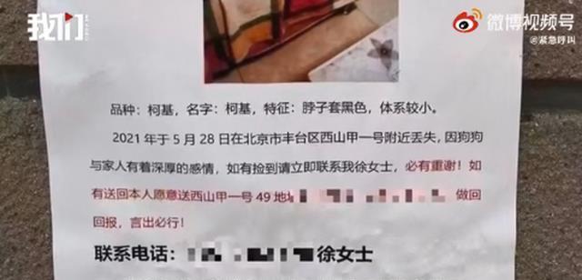 第221页